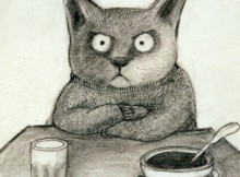 gatto
